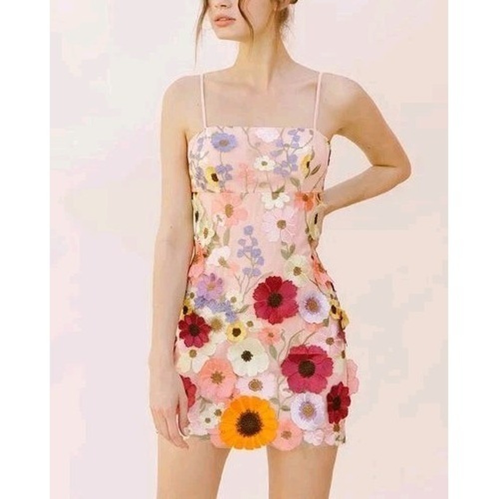 Storia Floral‎ Embroidered Mesh Mini Dress Peach Nude 3D Multi Color Applique S